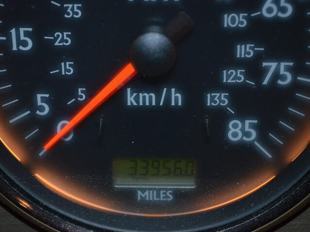 59-Beavermarquis-2004